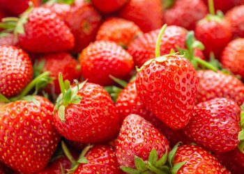 Discover Turner Price’s Quality Fresh Fruit Selection