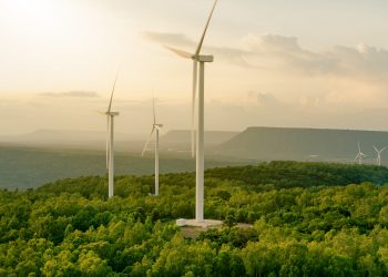 Striving for a Sustainable Future